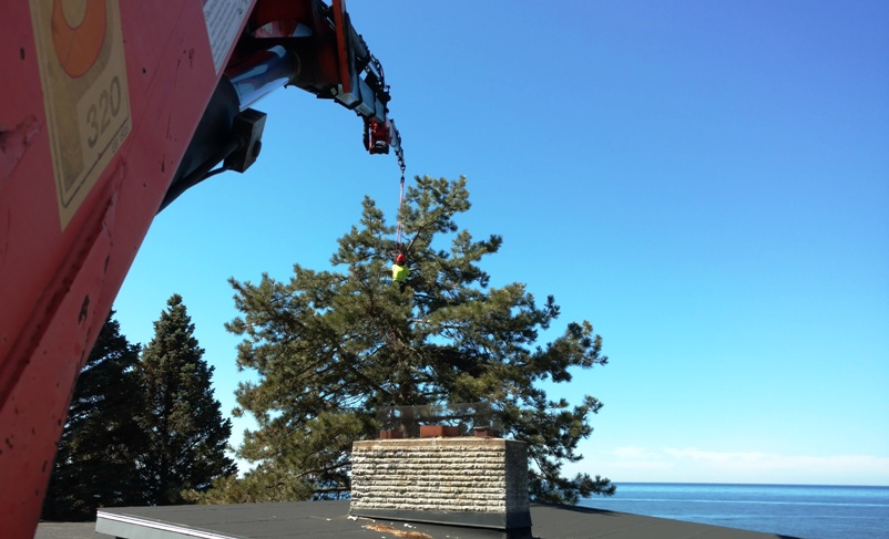 North Shore Estates Tree through Deck